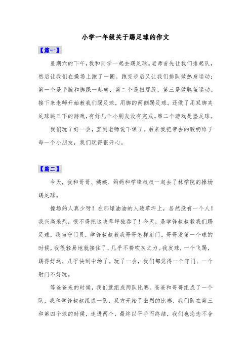 小学一年级关于踢足球的作文共五篇