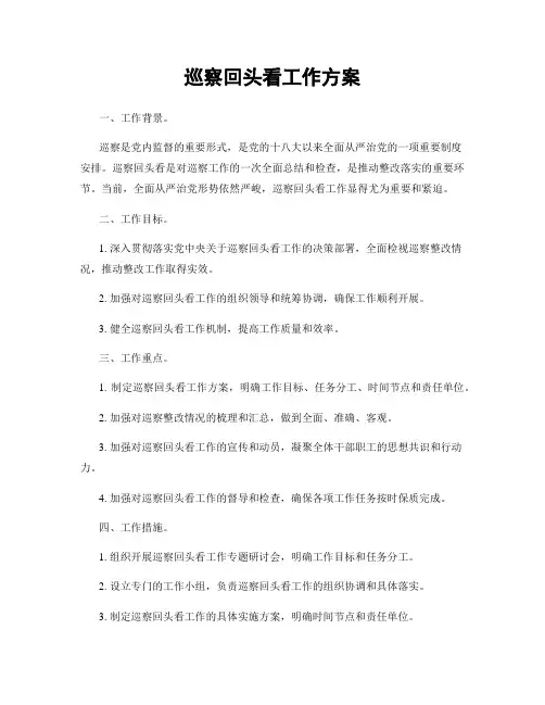 巡察回头看工作方案