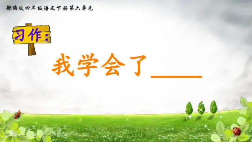 习作：我学会了-----ppt课件
