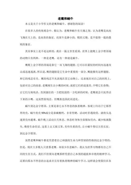 老鹰和蜗牛_小学作文
