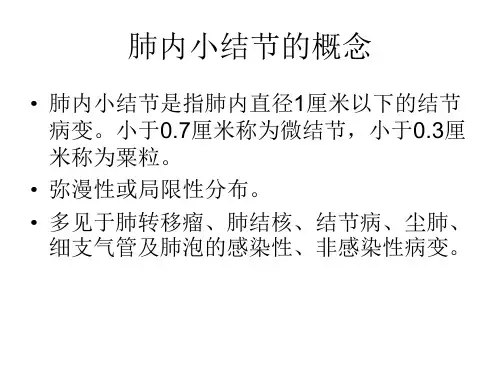 肺内小结节PPT课件