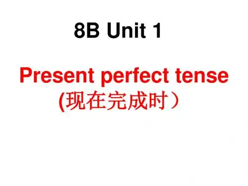 8bunit1 grammar (NXPowerLite)