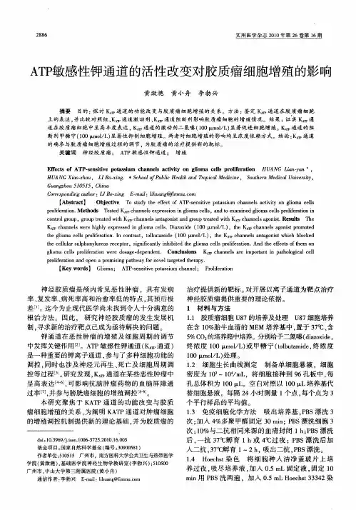 ATP敏感性钾通道的活性改变对胶质瘤细胞增殖的影响