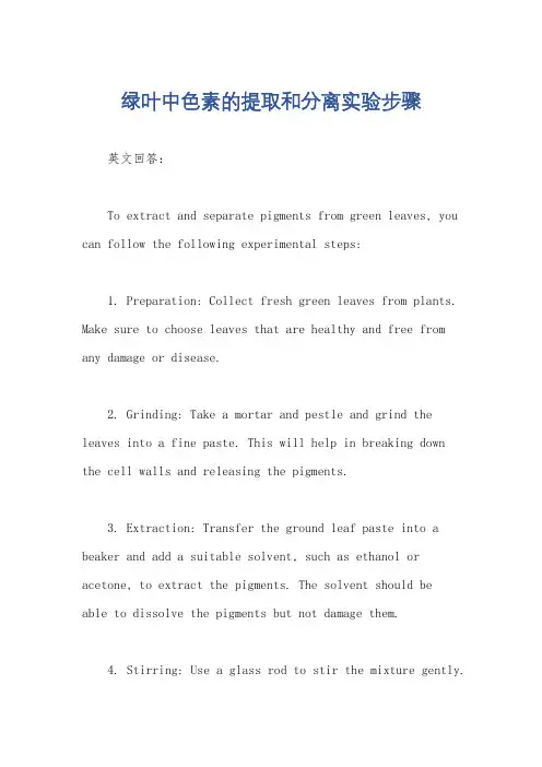 绿叶中色素的提取和分离实验步骤