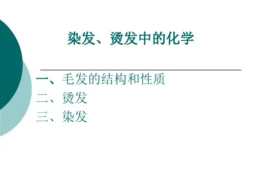 染发、烫发中的化学 PPT课件