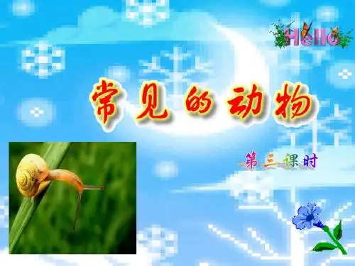 2.43常见的动物