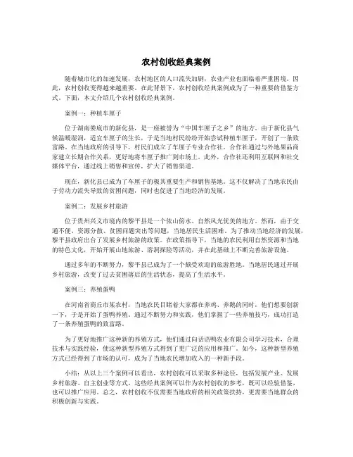 农村创收经典案例