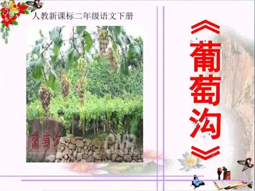 《葡萄沟》 精品PPT课件3(共19张)