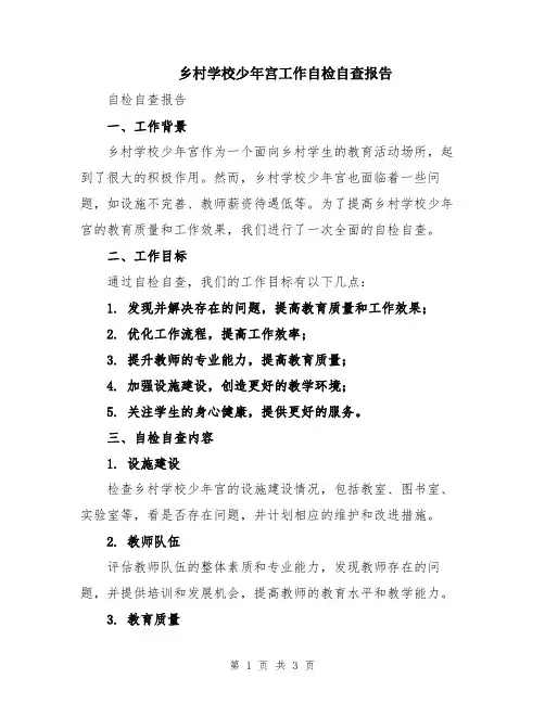 乡村学校少年宫工作自检自查报告