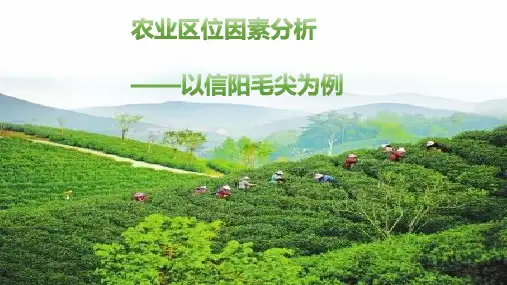 高中地理中图版(2019)必修第二册3.1农业区位因素(共17张ppt)