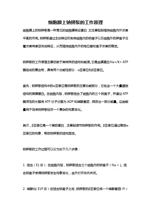 细胞膜上钠钾泵的工作原理