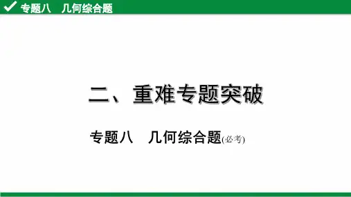 2020年北京市中考数学专题复习 专题八  几何综合题
