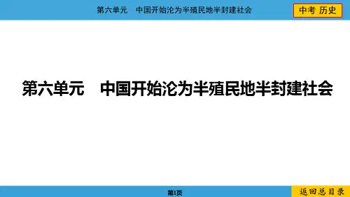 2024年中考历史总复习第六单元中国开始沦为半殖民地半封建社会中考命题15第二次鸦片战争