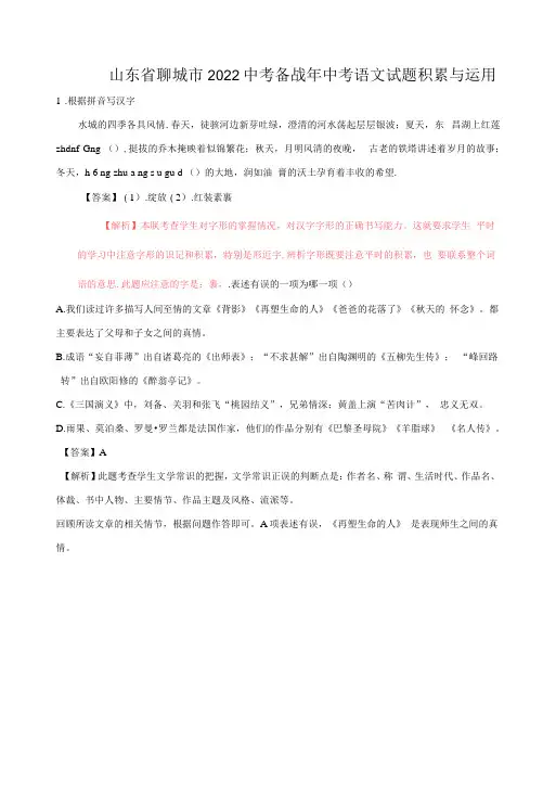 聊城市(2022年-2023年)中考语文试题(含解析)