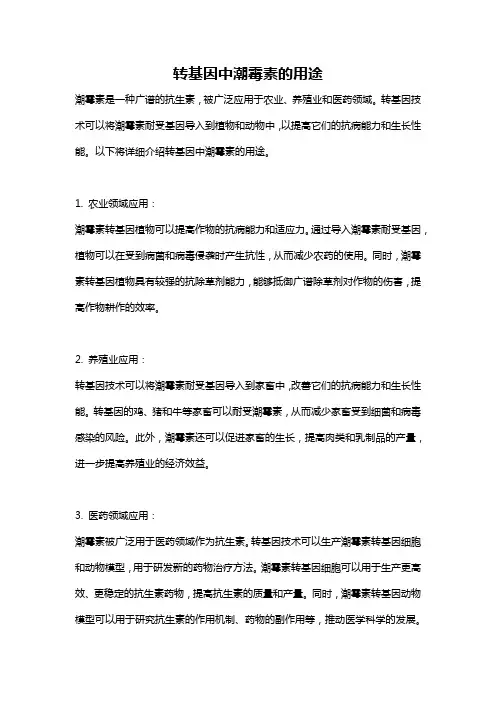 转基因中潮霉素的用途