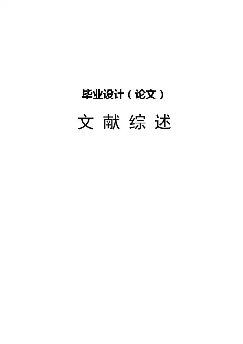 文献综述