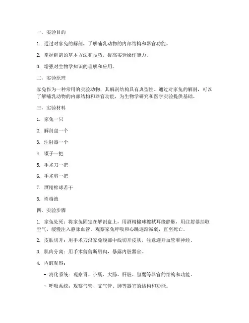 兔解剖的实验报告