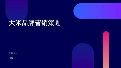 大米品牌营销策划