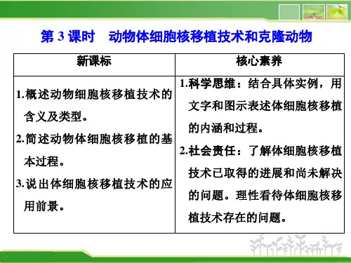 高中生物新人教版选择性必修3动物体细胞核移植技术和克隆动物课件(32张)