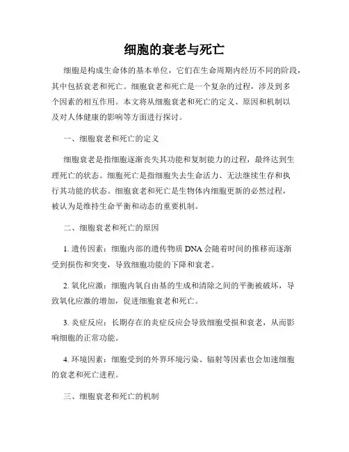 细胞的衰老与死亡