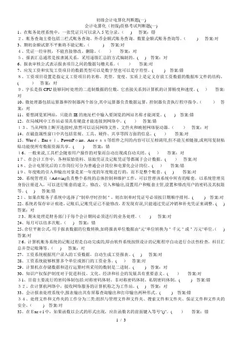 初级会计电算化判断题(一)