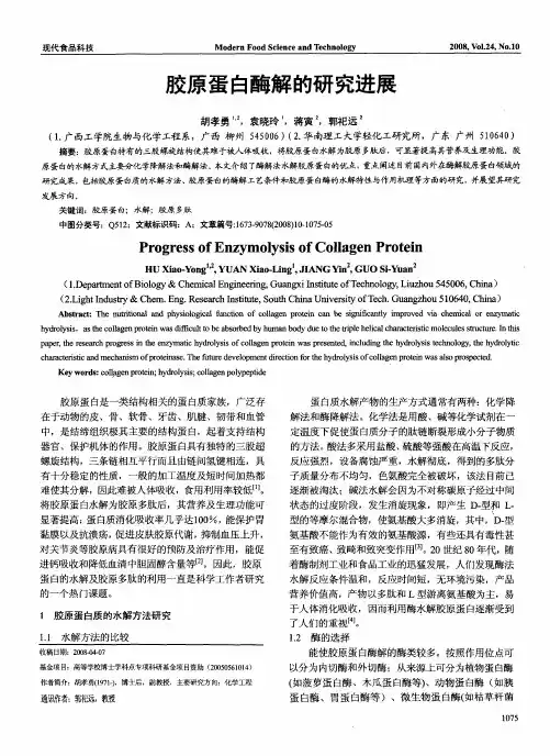 胶原蛋白酶解的研究进展