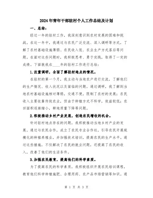 2024年青年干部驻村个人工作总结及计划