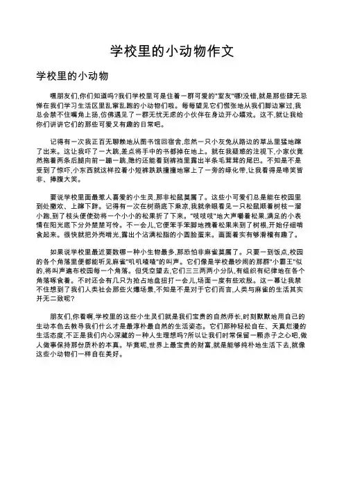 学校里的小动物作文