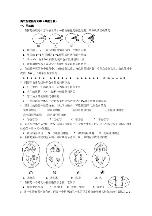 高三生物限时训练(减数分裂)