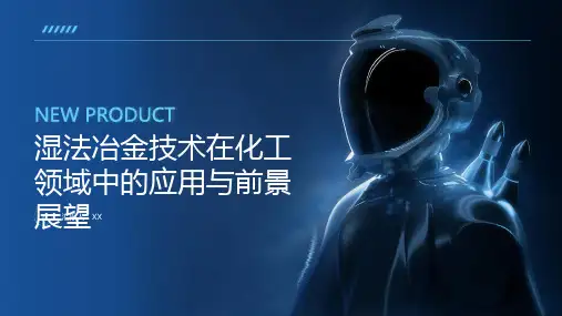 湿法冶金技术在化工领域中的应用与前景展望