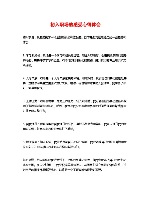 初入职场的感受心得体会