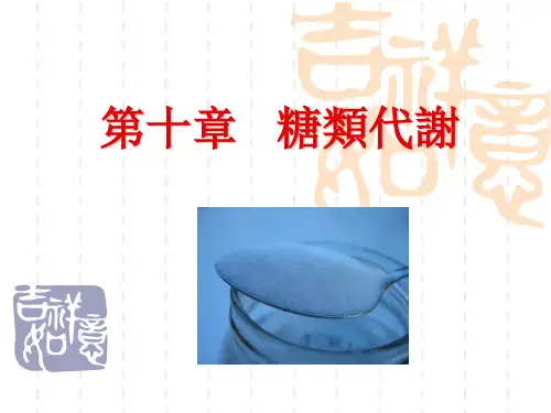 生物化学课件-糖类代谢