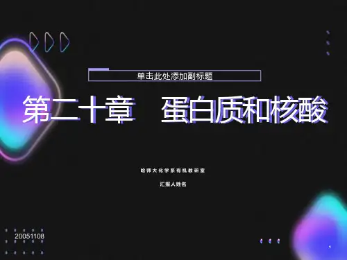 《蛋白质和核酸》课件