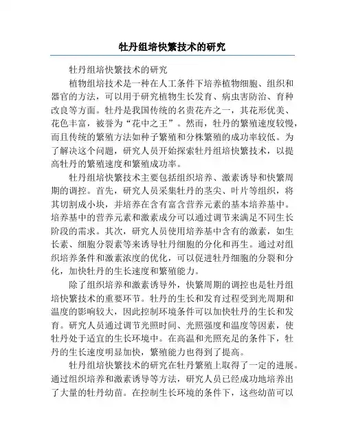 牡丹组培快繁技术的研究