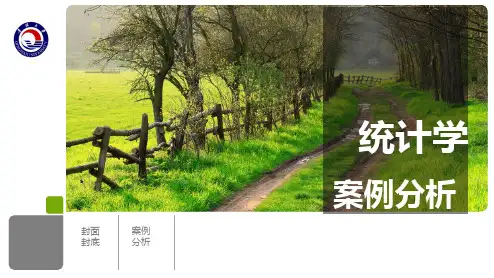 统计学案例分析 ppt课件