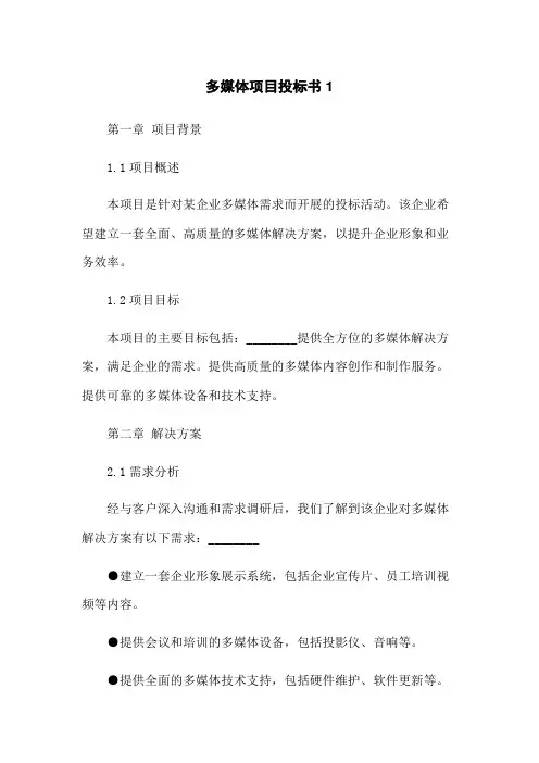 多媒体项目投标书1