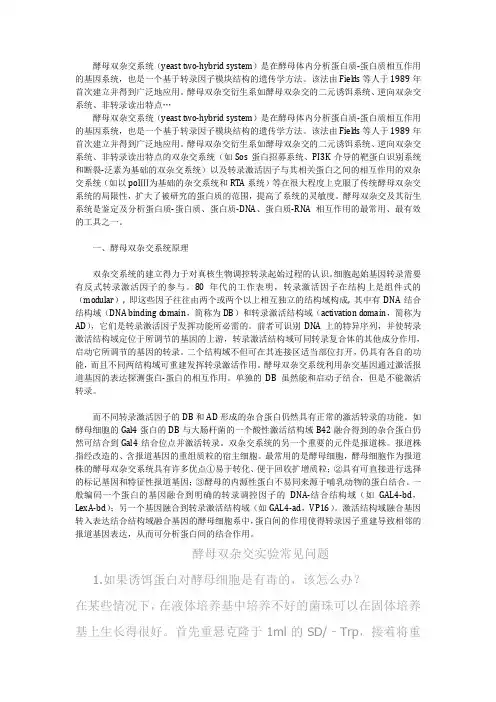 酵母双杂交