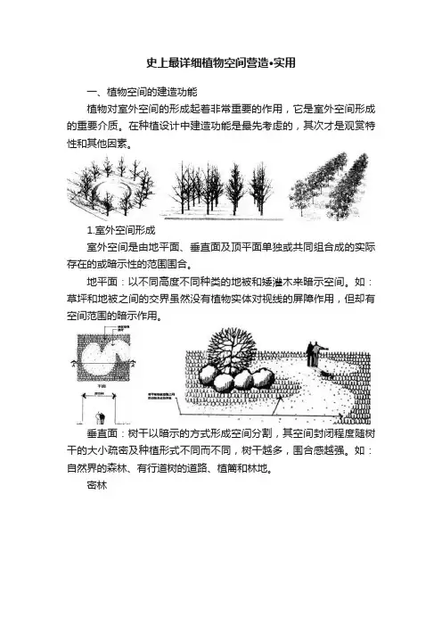 史上最详细植物空间营造·实用