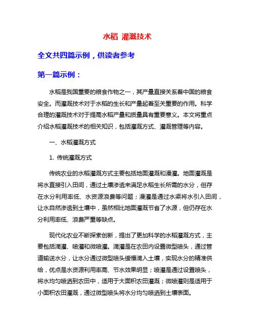 水稻 灌溉技术