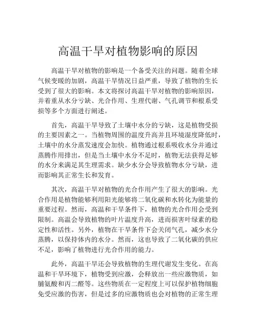 高温干旱对植物影响的原因
