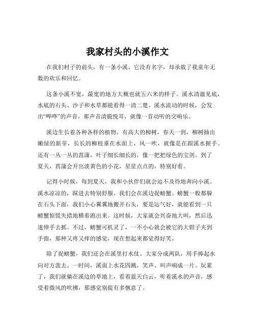 我家村头的小溪作文