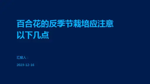 百合花的反季节栽培应注意以下几点