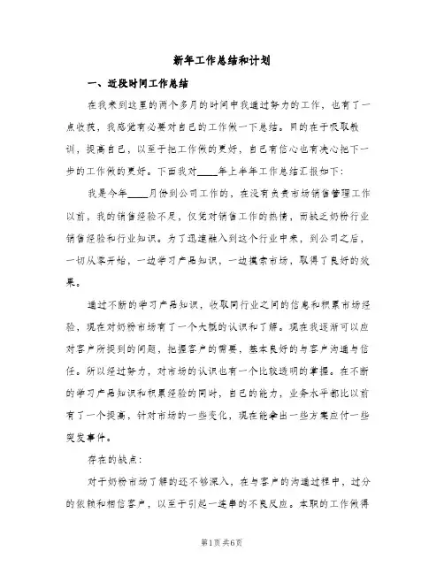 新年工作总结和计划（2篇）