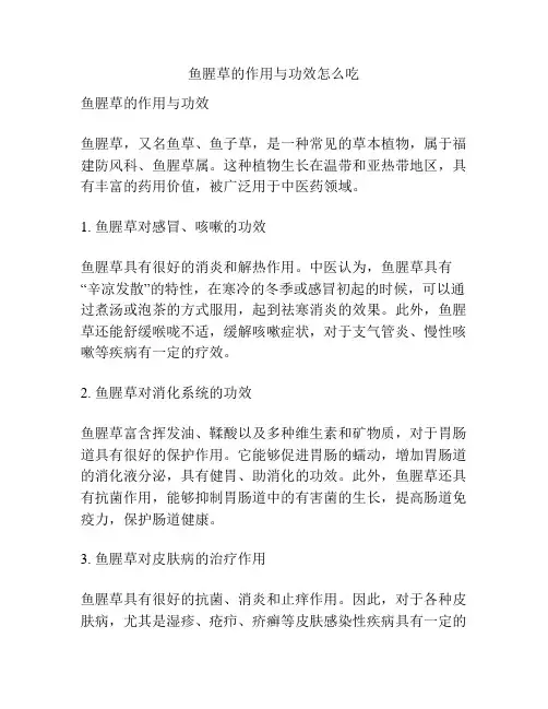 鱼腥草的作用与功效怎么吃