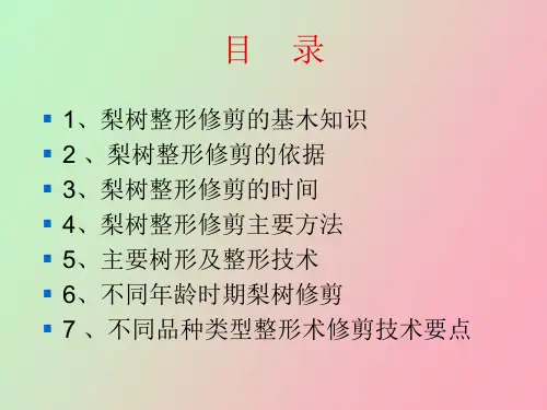 梨树整形修剪图解