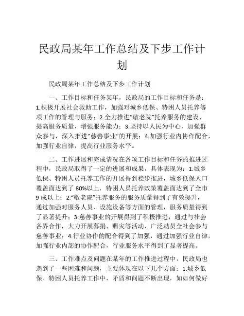 民政局某年工作总结及下步工作计划