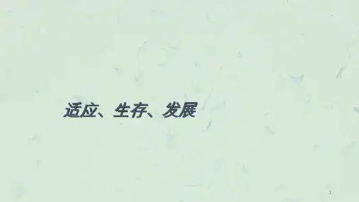 销售人员的角色定位课件.ppt