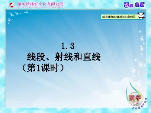 1.3 线段、射线和直线(第1课时)
