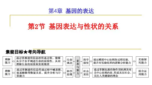 【课件】高三生物一轮复习课件基因表达与性状的关系