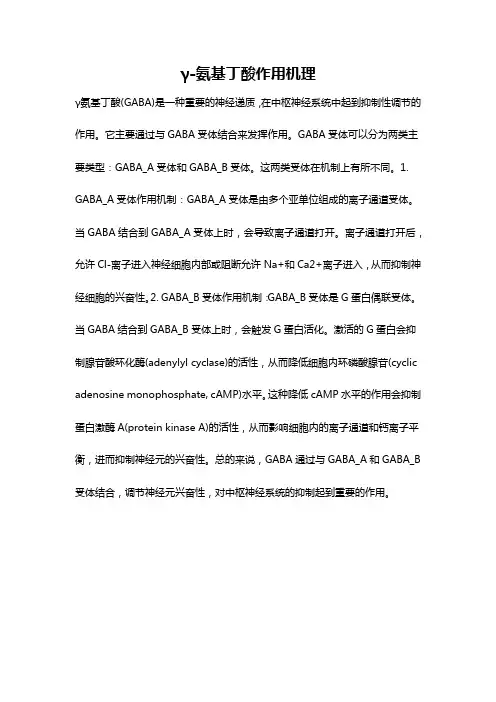 γ-氨基丁酸作用机理